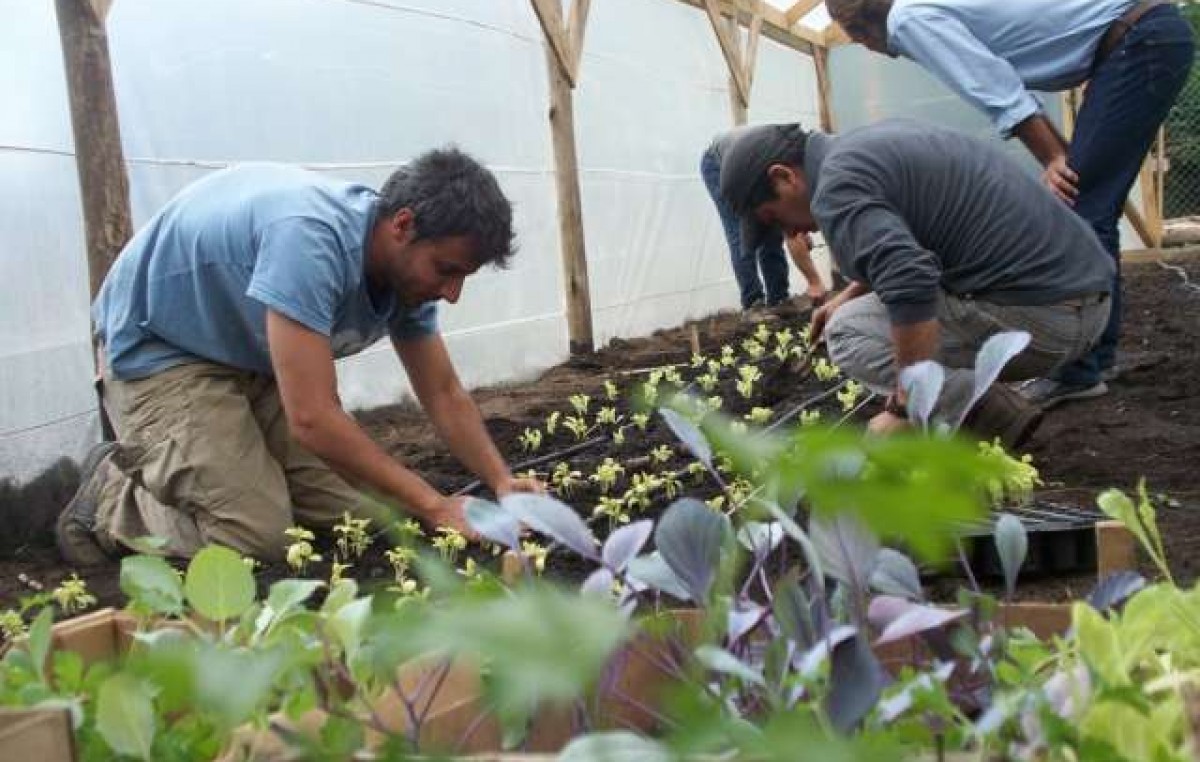 Bariloche avanza en la promoción de la agricultura urbana