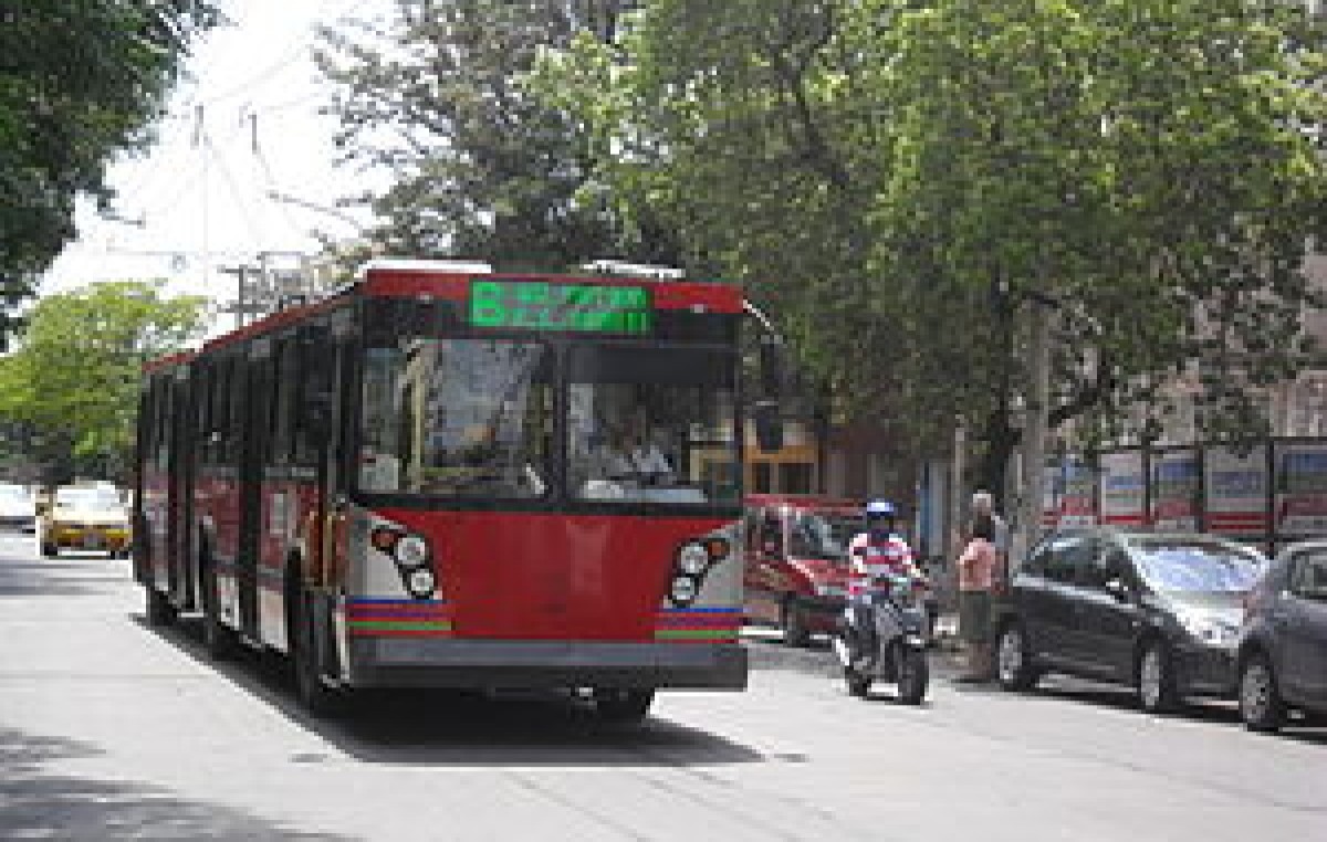 Córdoba planea incorporar troles rusos a la flota del transporte
