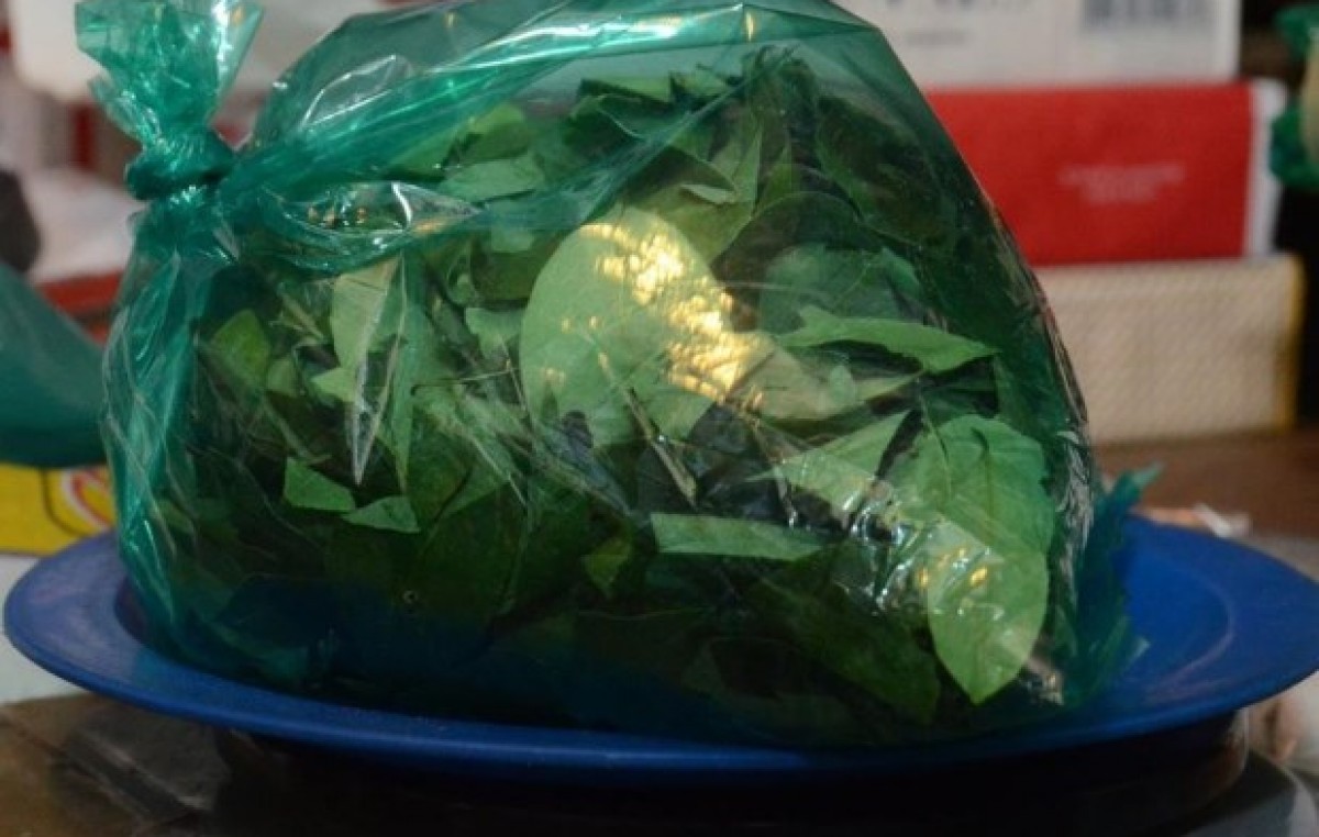 Salta: El aumento de precios llegó a la hoja de coca