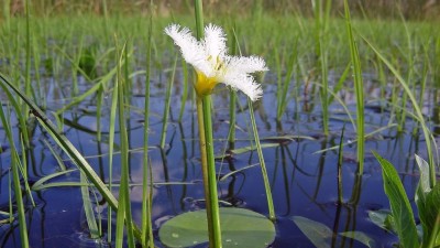 Fortalecen la microrregión turística Esteros del Iberá