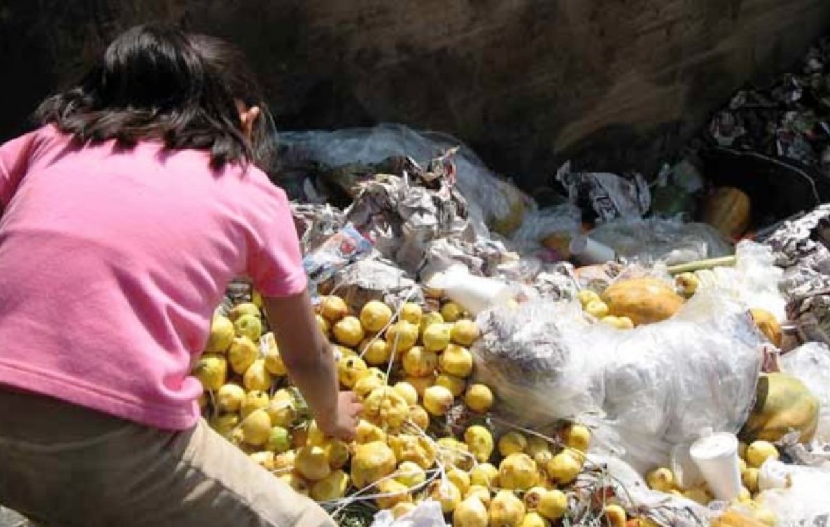 Latinoamérica desperdicia el 15% de los alimentos que produce