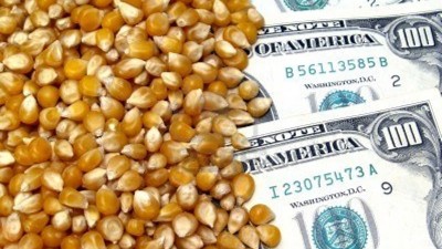 Exportadores liquidaron en la última semana 496,43 millones de dólares