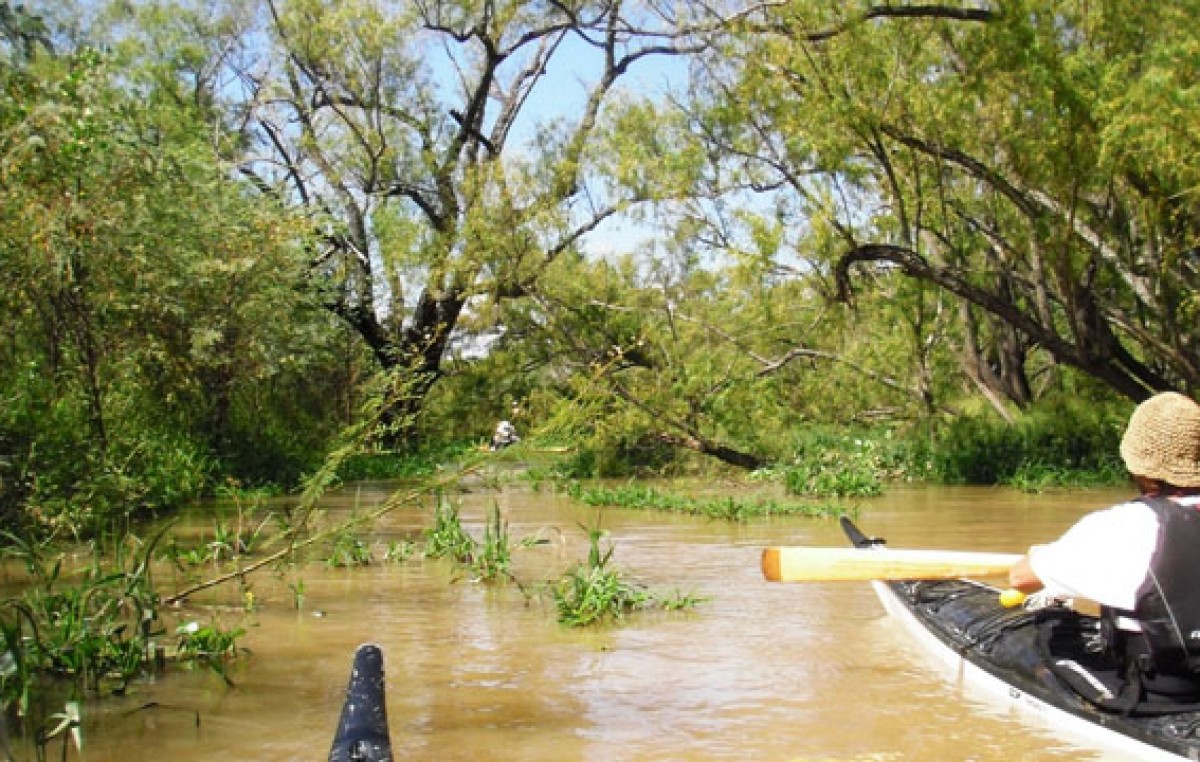 Buscan crear el segundo sitio Ramsar entrerriano