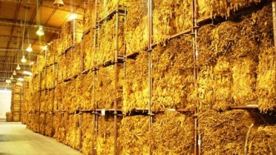 Jujuy: Comunas más que alertas por el precio del tabaco