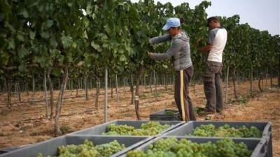Argentina, entre los países que lideraron la reducción de la informalidad laboral