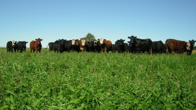 El verdadero impacto de la agricultura argentina en el calentamiento global