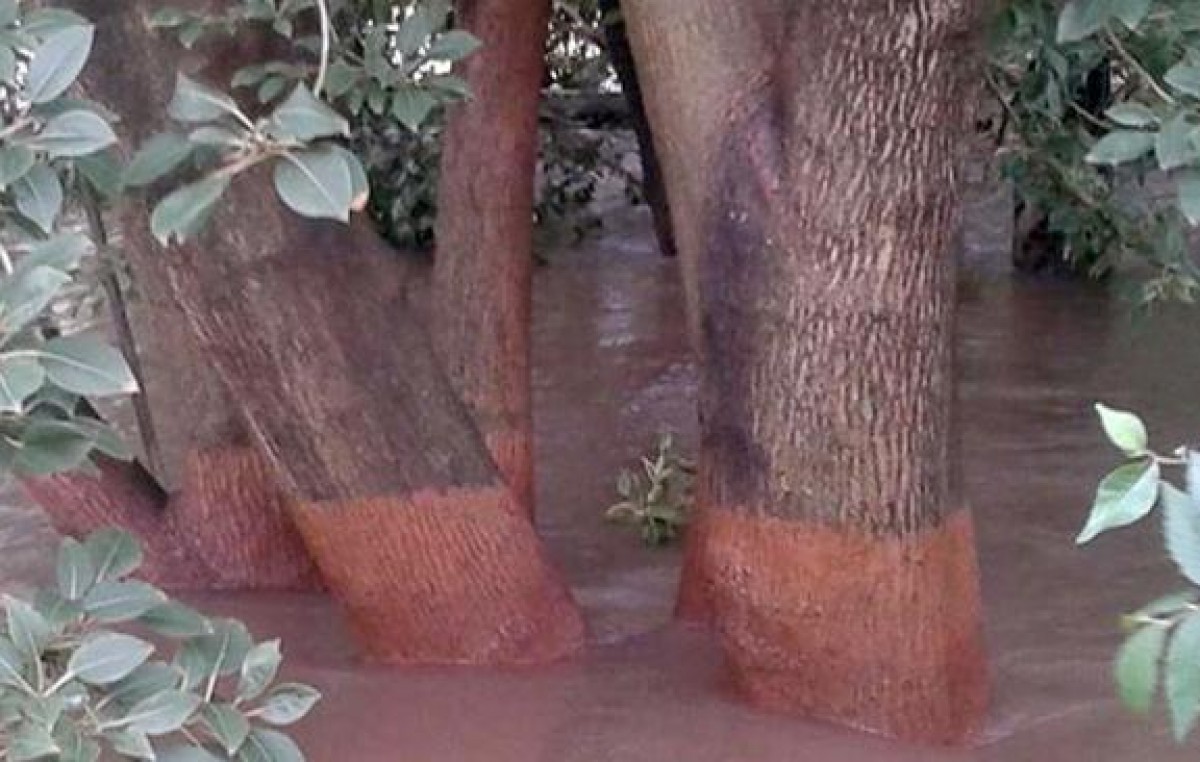 En Bell Ville y Ballesteros, el río baja, pero la alerta sigue