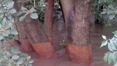 En Bell Ville y Ballesteros, el río baja, pero la alerta sigue