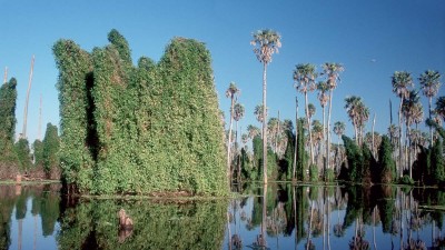 La zona de trasvase del bañado La Estrella recibe diariamente a muchísimos visitantes