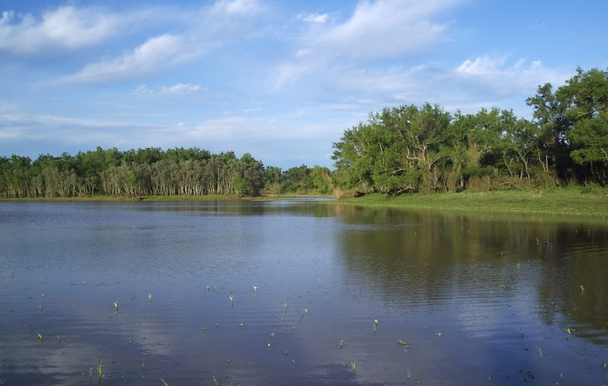 El 22 de marzo se conmemora el Día Mundial del Agua
