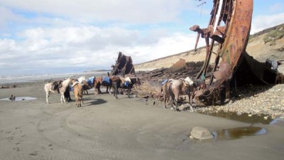 Hallazgo histórico en la Costa Atlántica Fueguina