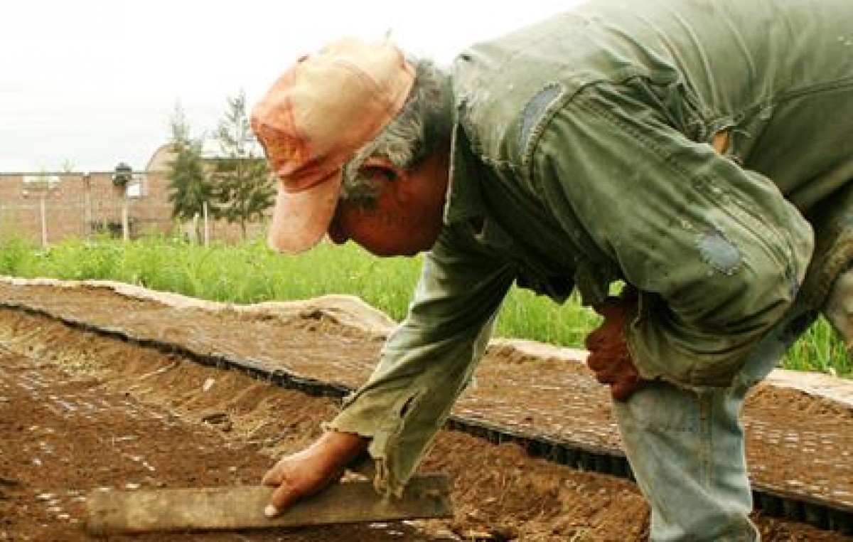 En Humberto Primo, entregan el Monotributo Social Agropecuario