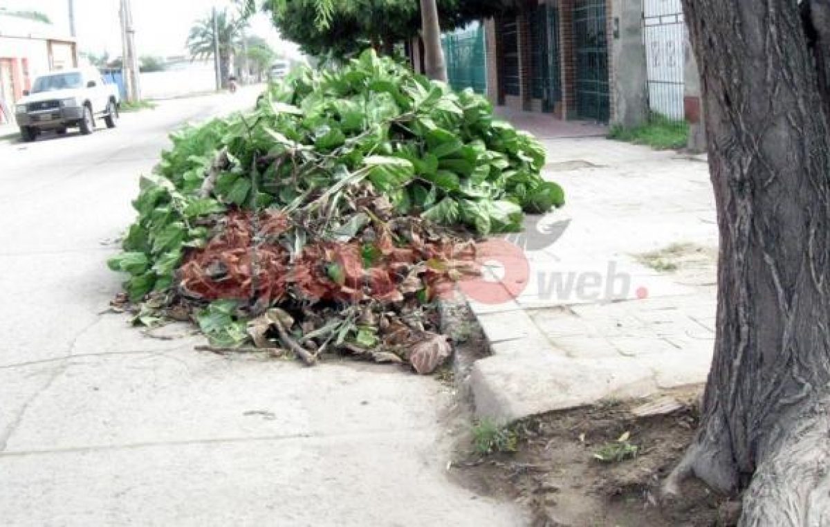 Añatuya: Sancionarán a quienes arrojen basura en la vía pública