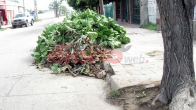 Añatuya: Sancionarán a quienes arrojen basura en la vía pública