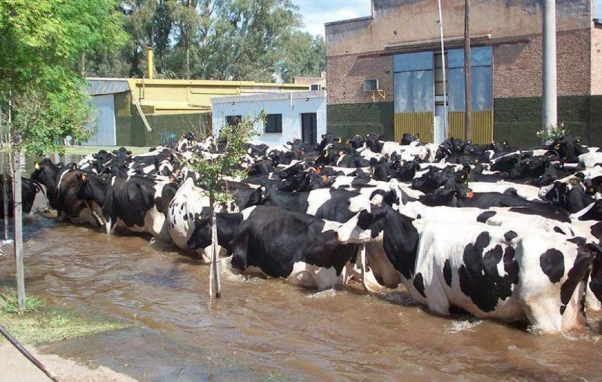 La situación en Bell Ville es crítica y se espera otra crecida