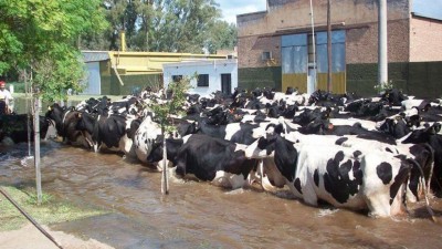 La situación en Bell Ville es crítica y se espera otra crecida