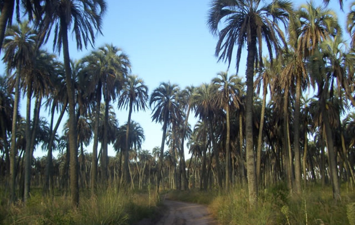 Fortalecen la participación de los pobladores del sitio Ramsar Palmar Yatay