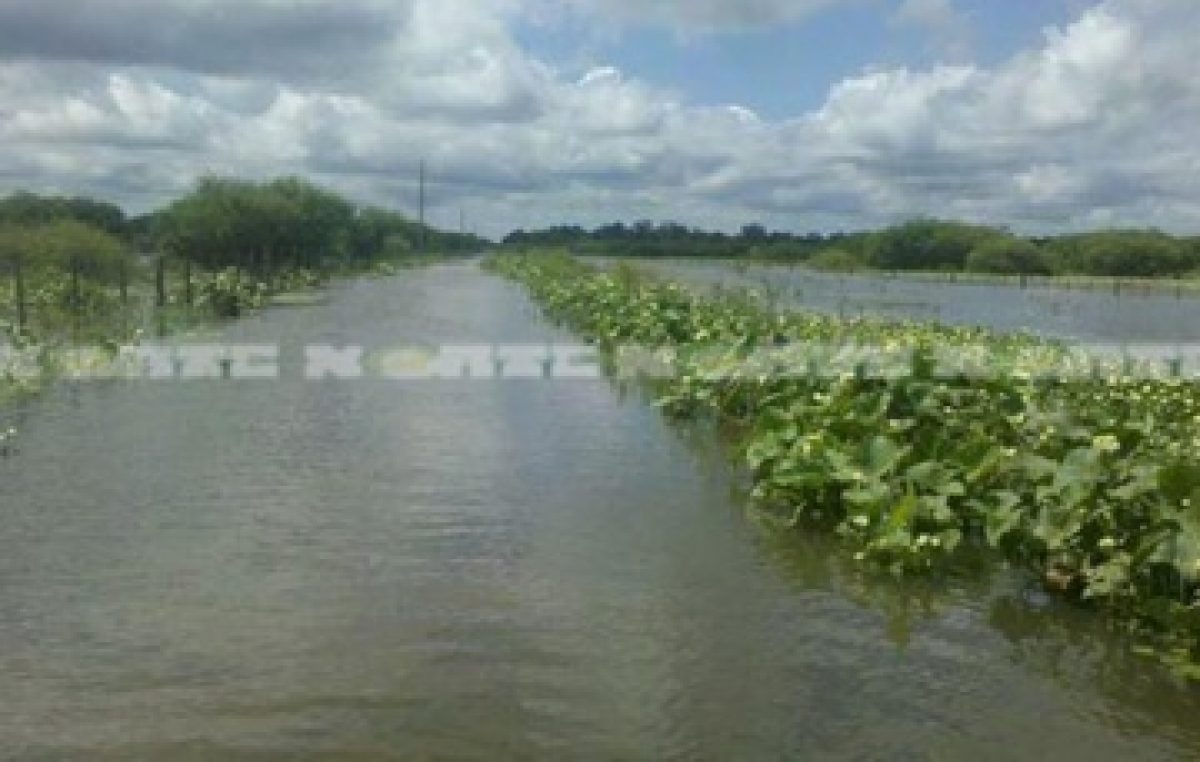 Son 420 las familias evacuadas en Pampa del Indio