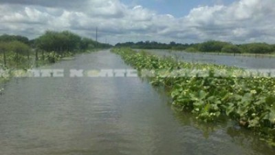 Son 420 las familias evacuadas en Pampa del Indio