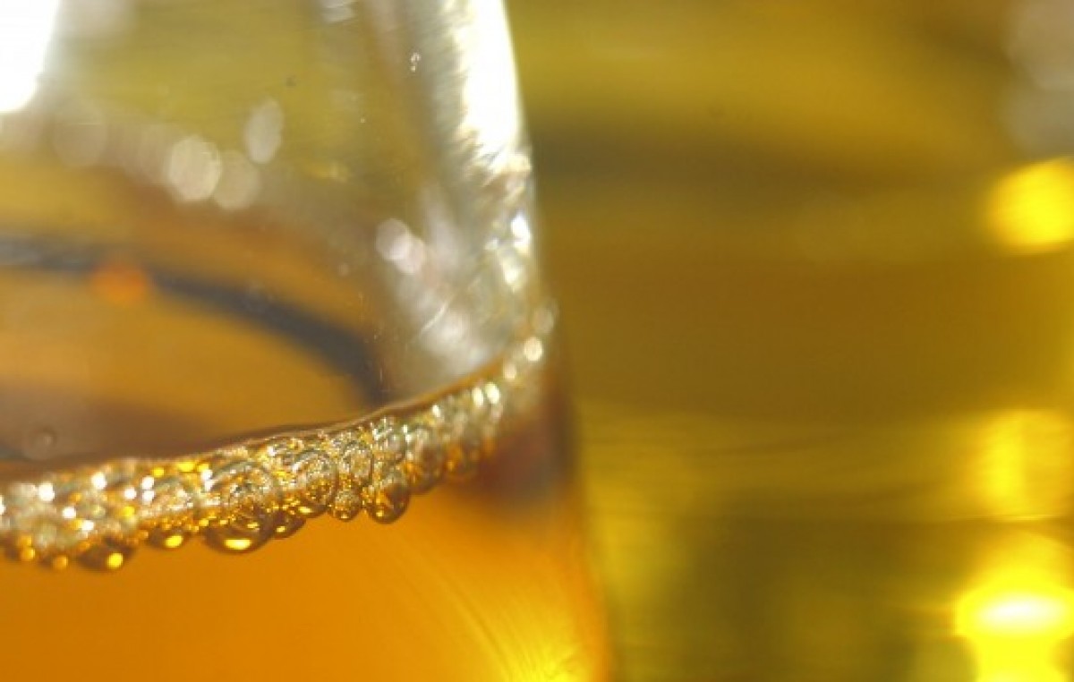 En Quemú Quemú recolectan aceite y lo convierten en biodiésel