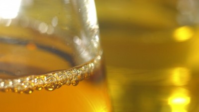 En Quemú Quemú recolectan aceite y lo convierten en biodiésel