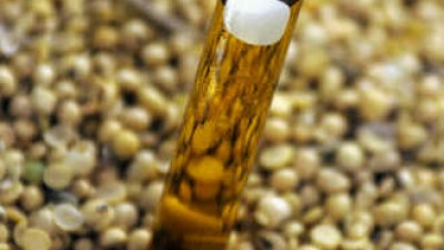 Bella Vista: analizan un proyecto para instalar una empresa de biocombustible