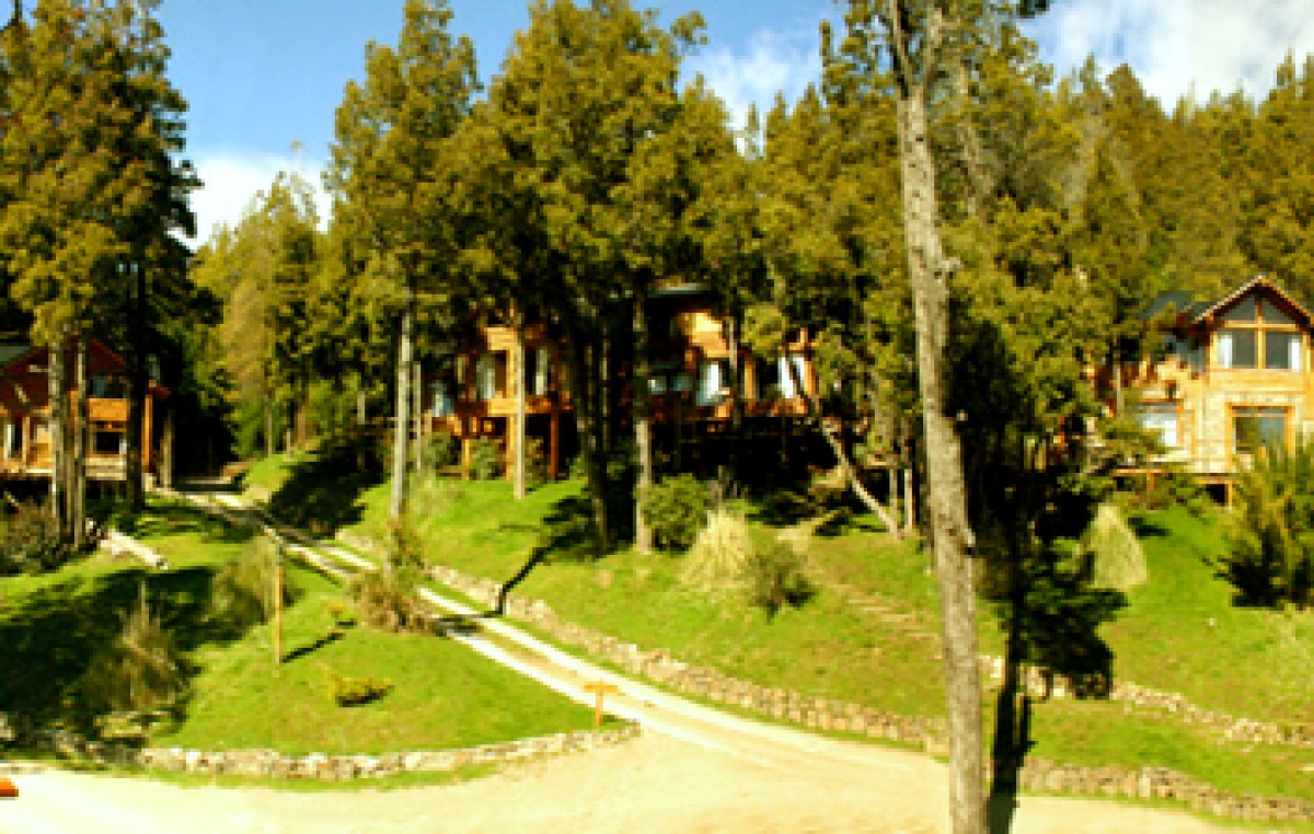 Urbanización y un impacto irreversible en los bosques de Bariloche