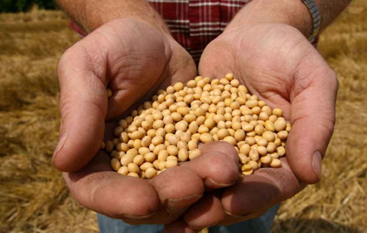 La Pampa: el Fondo de la Soja subió un 65,4% en el primer trimestre