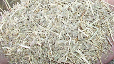 Municipio de Tinogasta compra molino desintegrador para productores de comino