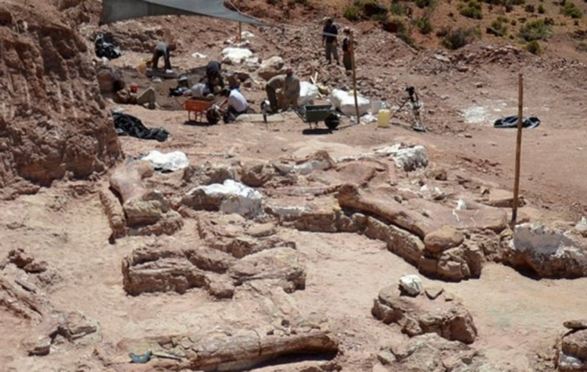 Encontraron más dinosaurios en Chubut y analizan si la zona es un cementerio paleontológico