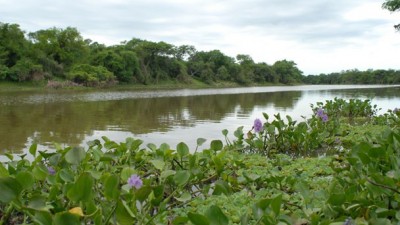 El Senado define el Parque Nacional El Impenetrable, incluida La Fidelidad