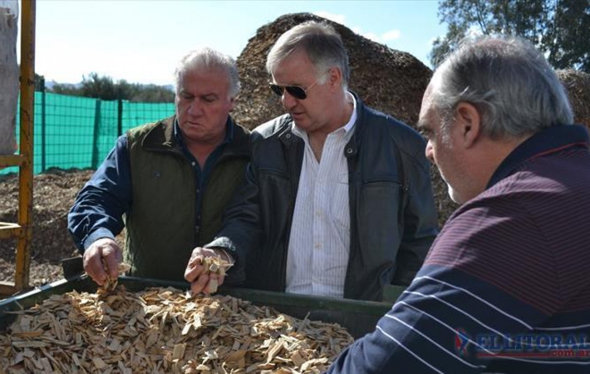 Corrientes: Exitosa experiencia para generar energía en la provincia con desechos de la madera