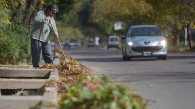 Mendoza: Comunas levantan entre 9 mil y 64 mil kilos de hojas al día