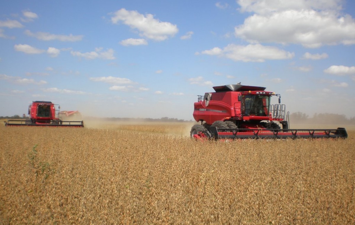 Detectan evasión en más de 20 mil campos de Buenos Aires