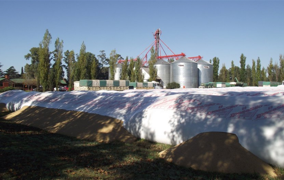 Fondo sojero para las provincias cayó 64%, porque productores retienen la oleaginosa