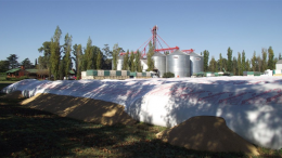 Fondo sojero para las provincias cayó 64%, porque productores retienen la oleaginosa
