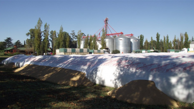 Fondo sojero para las provincias cayó 64%, porque productores retienen la oleaginosa