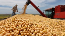 La cosecha de soja fijará un récord
