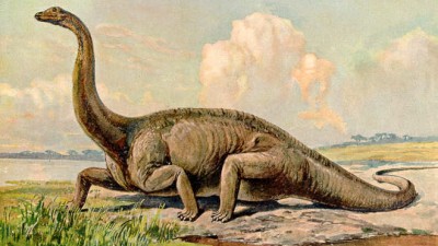 Encontraron en Neuquén restos de un dinosaurio único en América del Sur