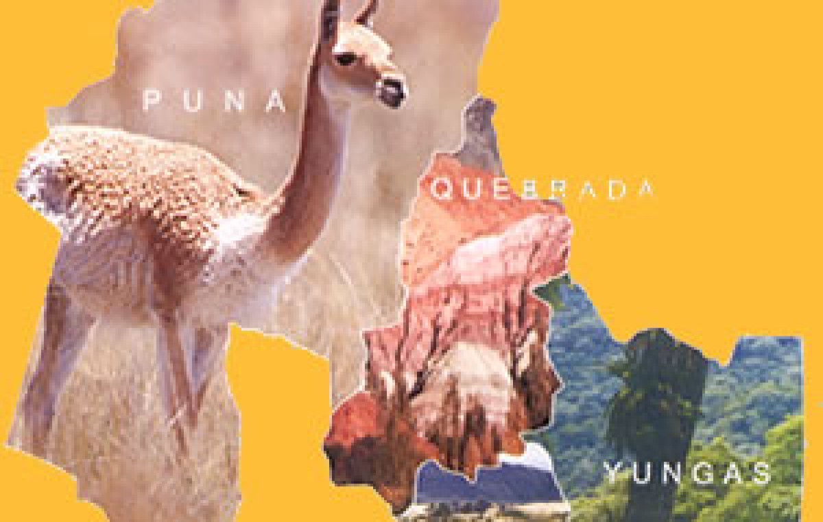 Buscan superar problemas laborales en los municipios de Jujuy
