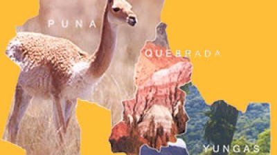 Buscan superar problemas laborales en los municipios de Jujuy