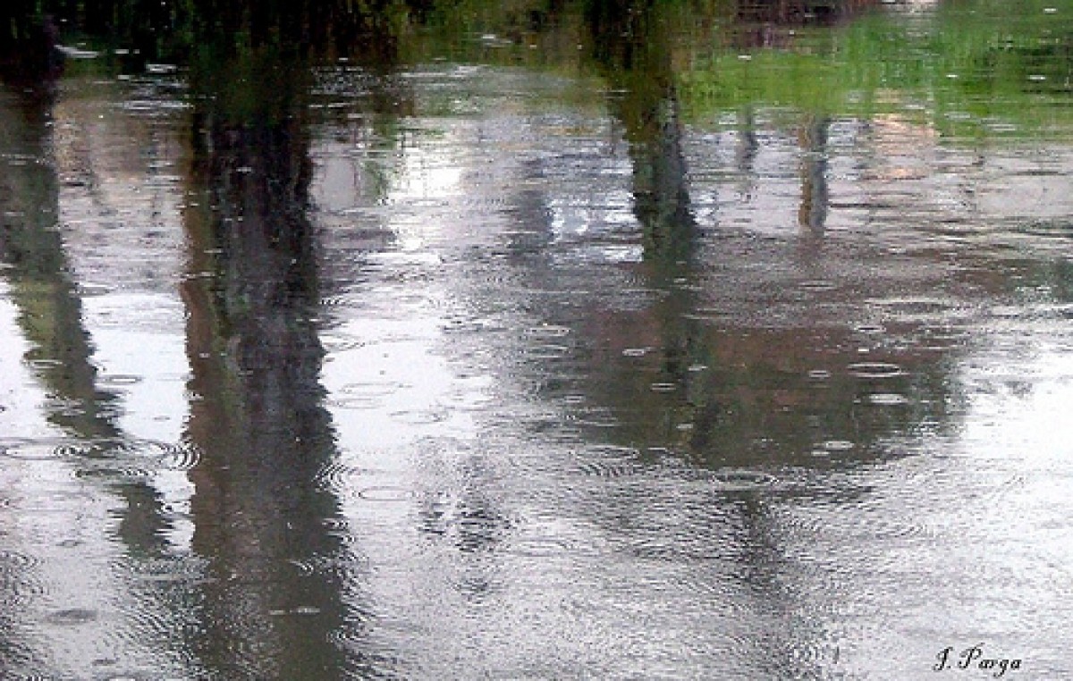 Por ahora, las nuevas lluvias no llevarían el río Paraná a un nivel crítico