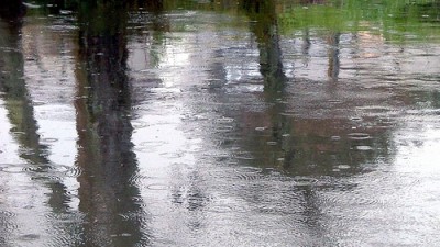 Por ahora, las nuevas lluvias no llevarían el río Paraná a un nivel crítico