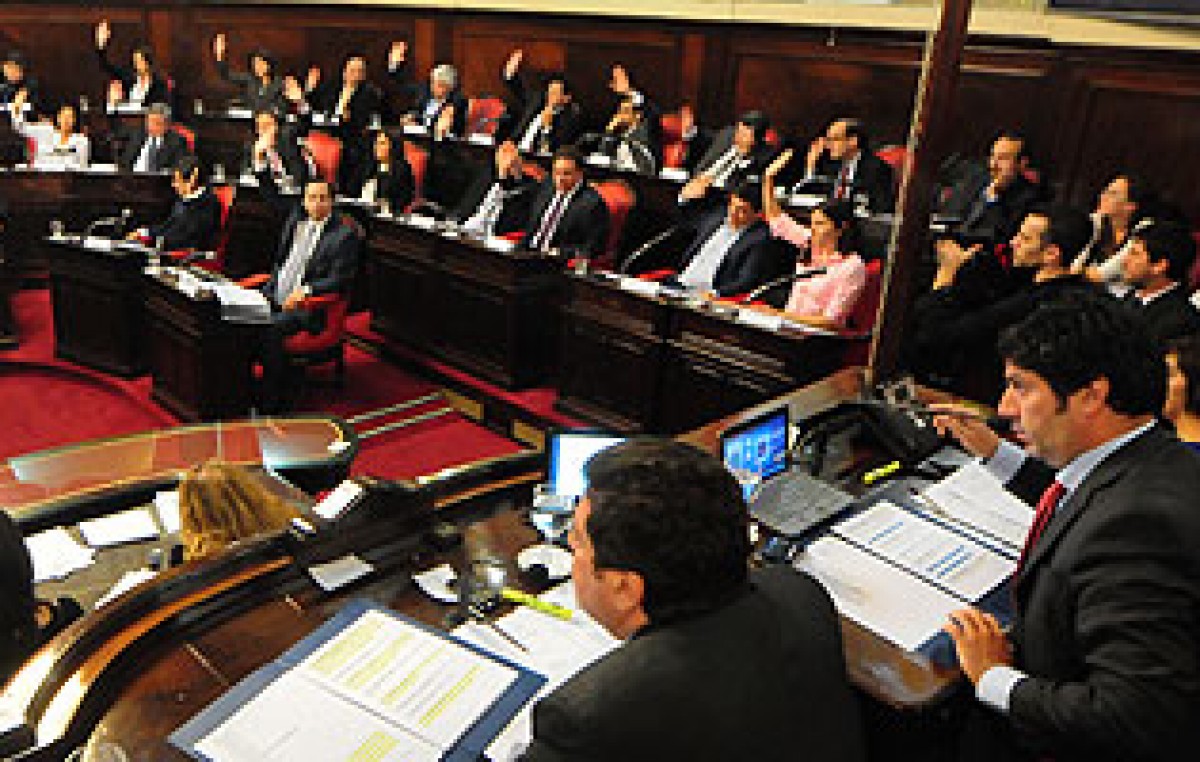 El Senado aprobó en general la creación de la policía comunal