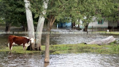 Entre Ríos: El pico de la creciente sería de 5 metros y llegaría el 26 de junio
