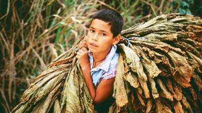 Destacan que gracias a las políticas públicas el trabajo infantil se redujo en un 66% en la última década