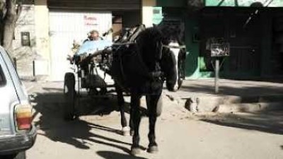 Guaymallén quieren prohibir la circulación de carretelas en su «lucha contra la basura»
