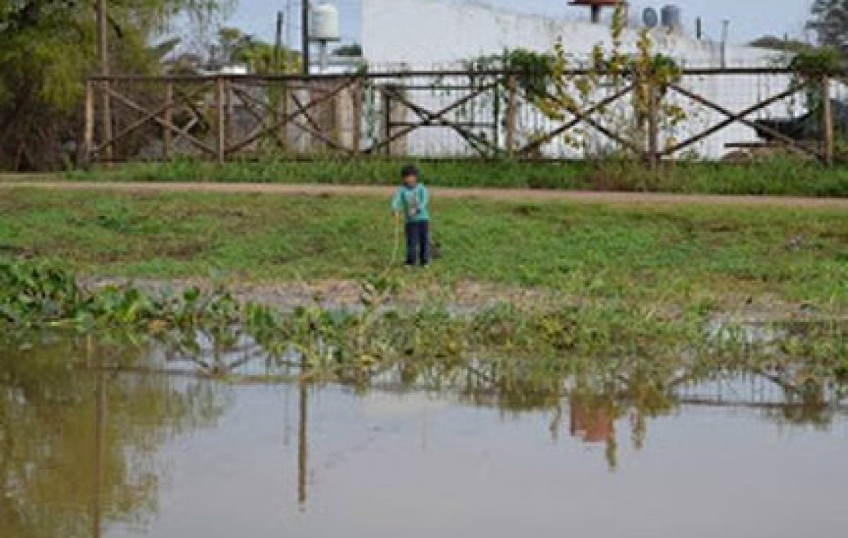 La creciente del Paraná se desacelera y se sigue retrasando el pico en Entre Ríos