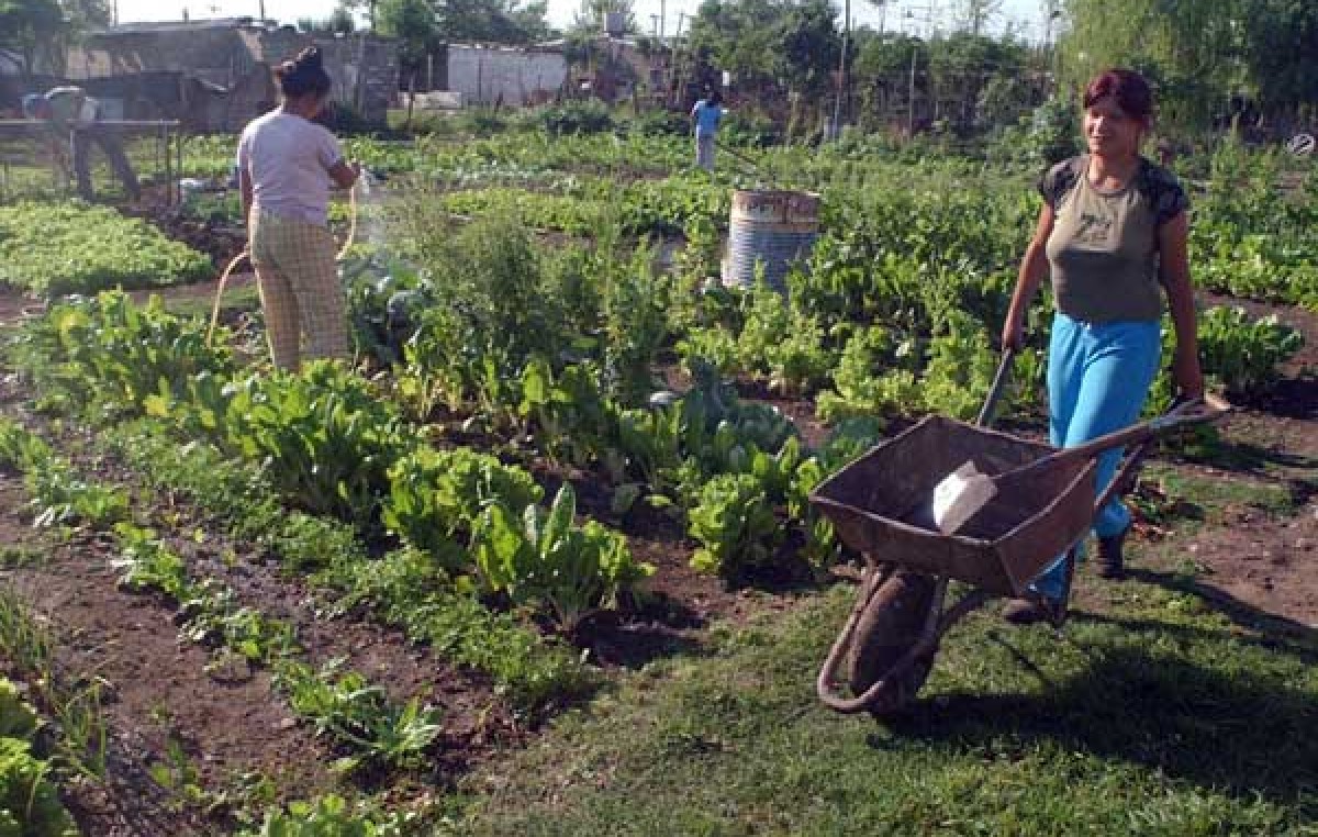 Municipio de Chumbicha propone vuelta a las huertas familiares, escolares y comunitarias