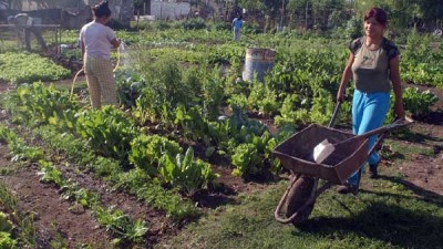 Municipio de Chumbicha propone vuelta a las huertas familiares, escolares y comunitarias